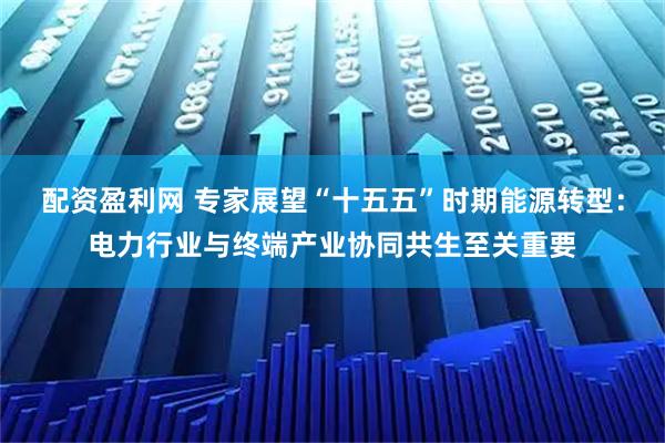 配资盈利网 专家展望“十五五”时期能源转型：电力行业与终端产业协同共生至关重要