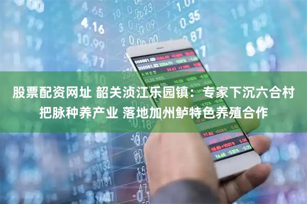 股票配资网址 韶关浈江乐园镇：专家下沉六合村把脉种养产业 落地加州鲈特色养殖合作